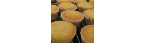 Plain Cupcakes