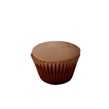 Fondant Iced Chocolate Cupcakes