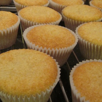 Plain Vanilla Sponge Cupcakes